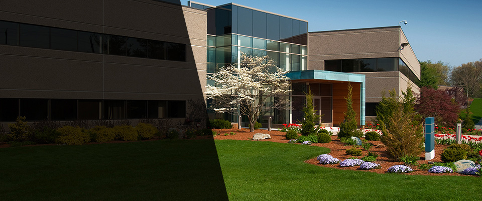Sealy Landscapers