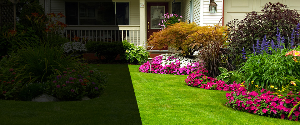 Sealy Landscapers