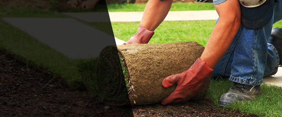 Sealy Landscapers